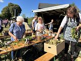 img_6247