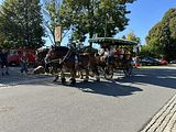 img_6260