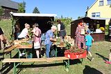 img_8435