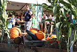 img_8501