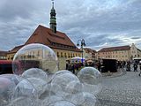 IMG_6541