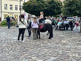 IMG_6551