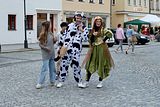 IMG_8546