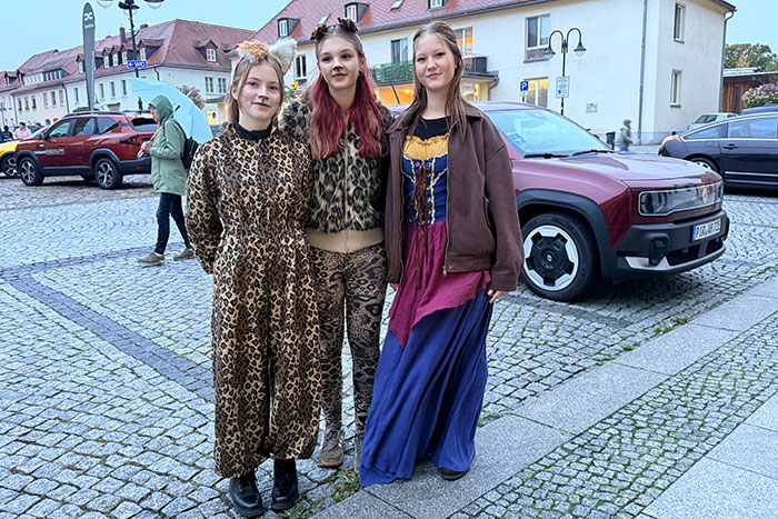 Theaterverein der Schillerschule