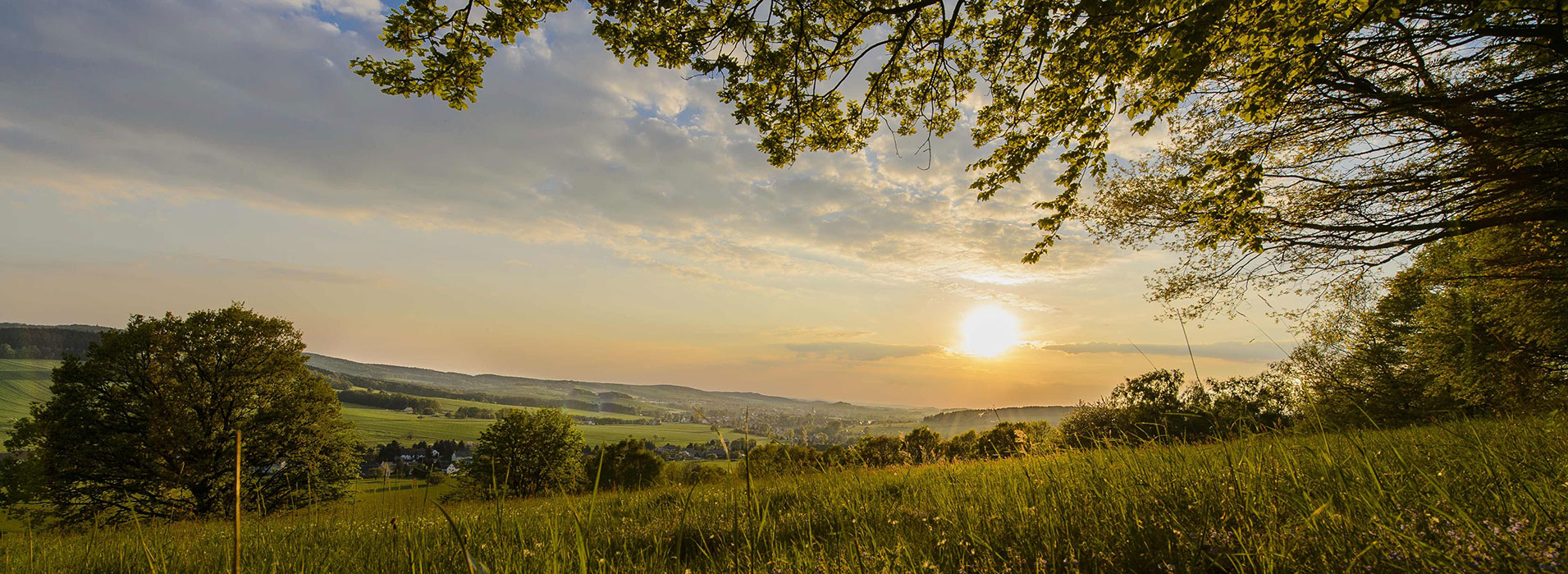 Blick vom Raupenberg auf Neustadt