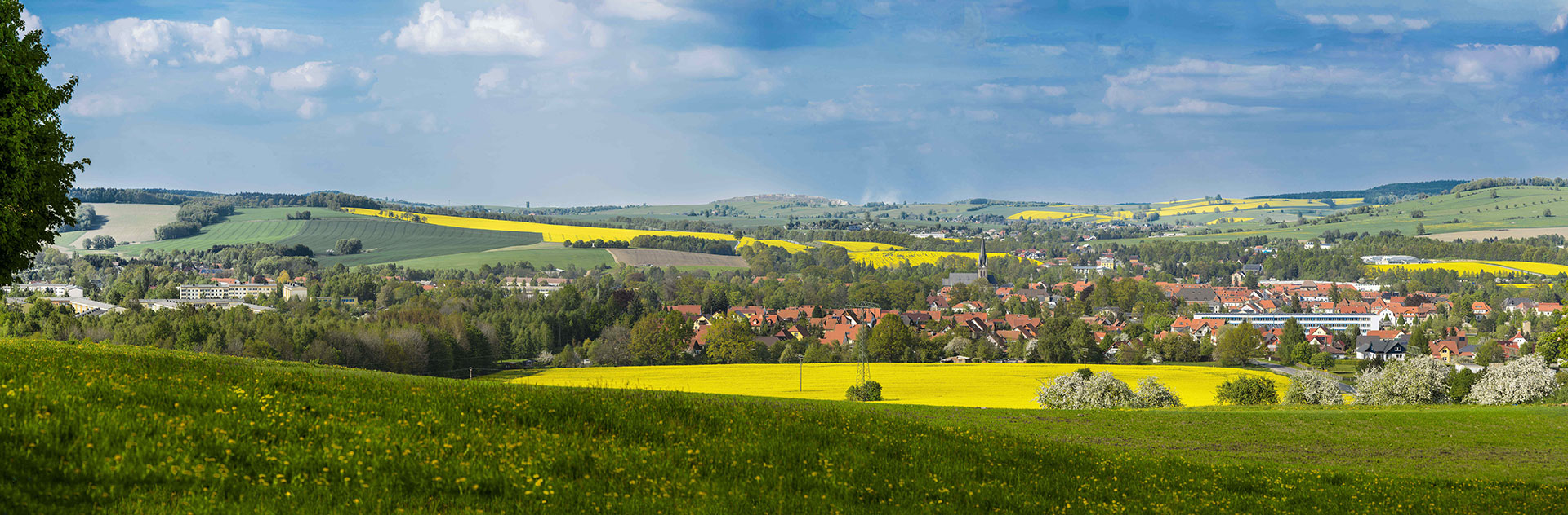 Blick auf Neustadt in Sachsen